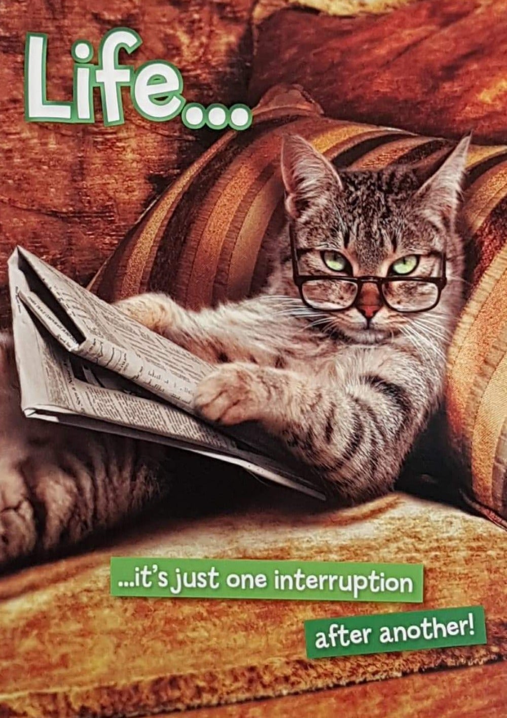 Humour Card - Cat Wearing Glasses Reading Newspaper & Giving An Advice