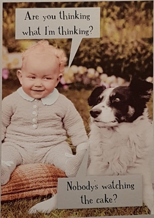 Birthday Card - Humour / Baby And Dogs Want To Eat Cake