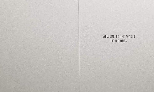 New Baby Card - Twins / Mum Swan Is Carrying Of Her Two Little Ones On The Lake