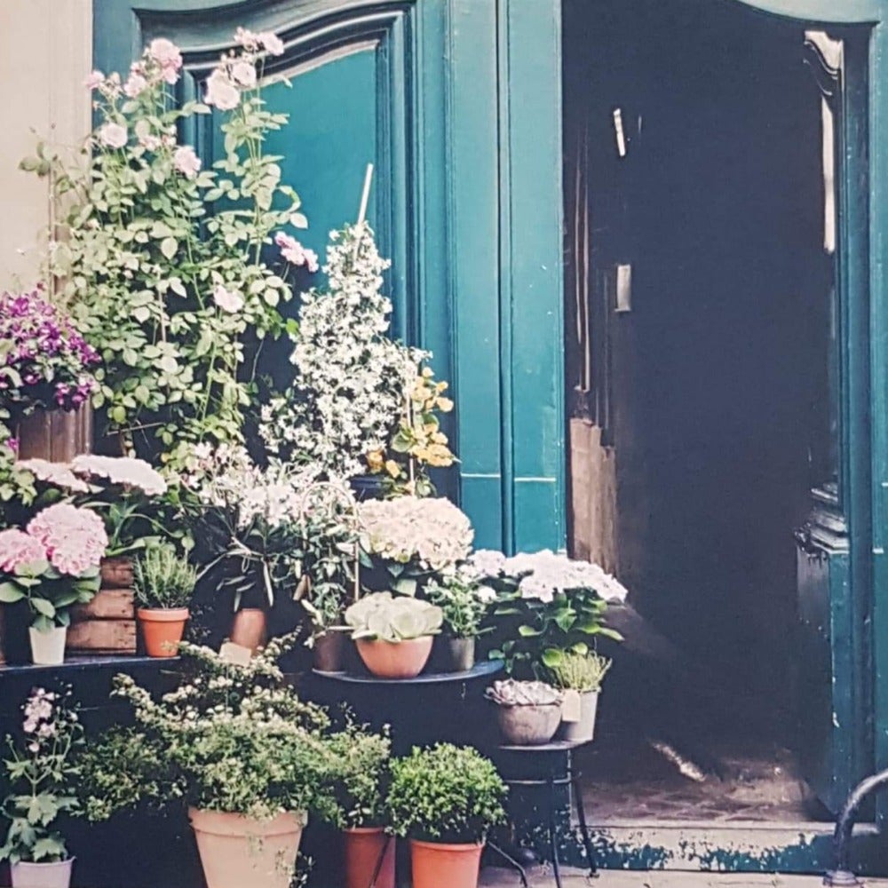 Blank Card - Gorgeous Flowers In The Pots