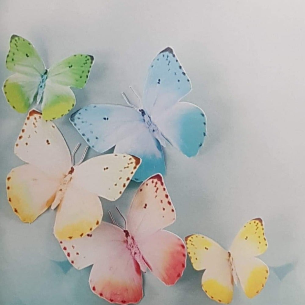 Blank Card - Five Butterflies In A Graphic Style