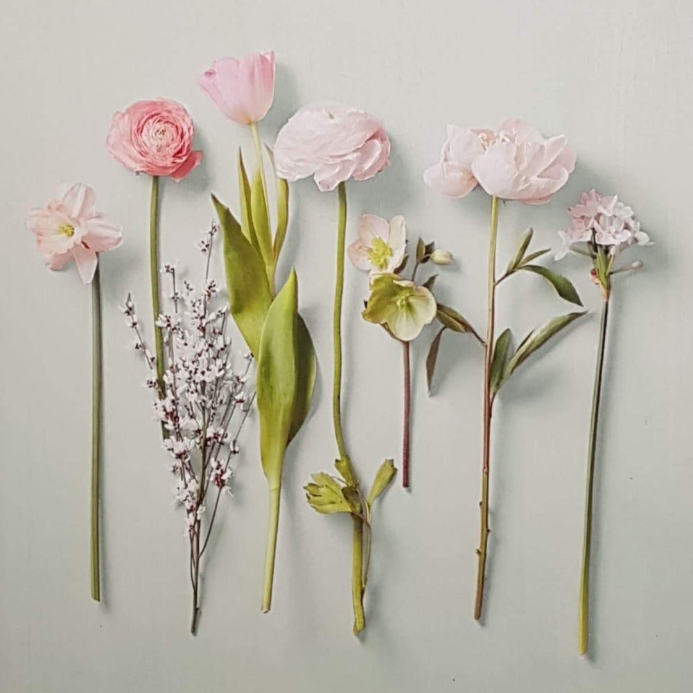 Blank Card - Seven Singles Meadow Flowers