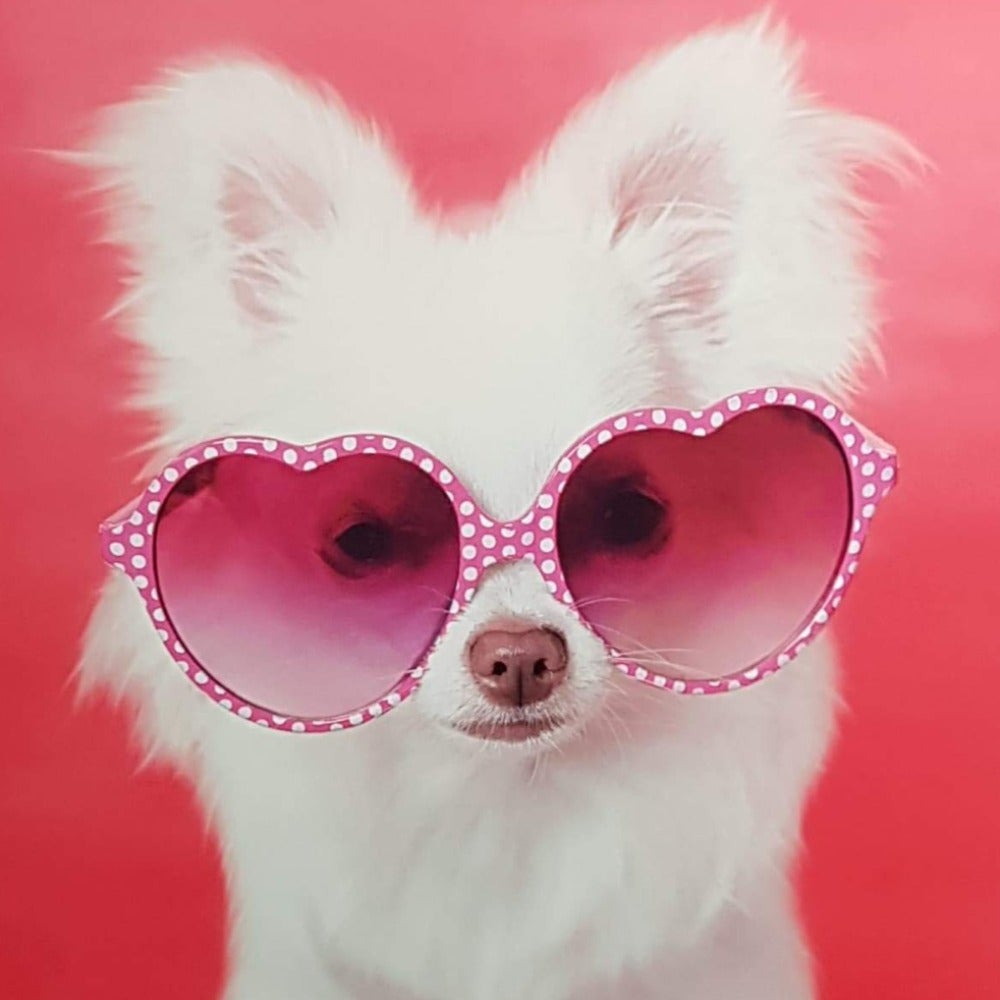 Blank Card - Cute / White Dogs Wearing Heart Shaped Pink Glasses