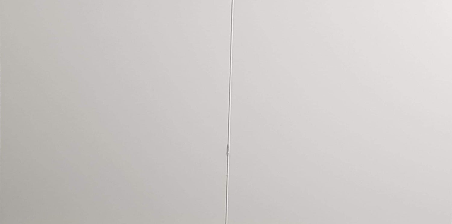 Blank Card - Elegant Dog Wearing a Grey Bow