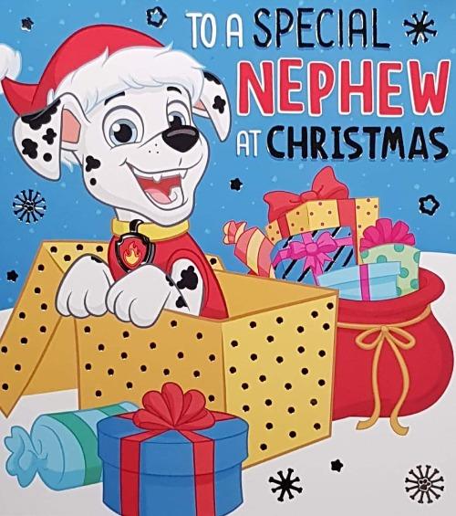 Nephew Christmas Card
