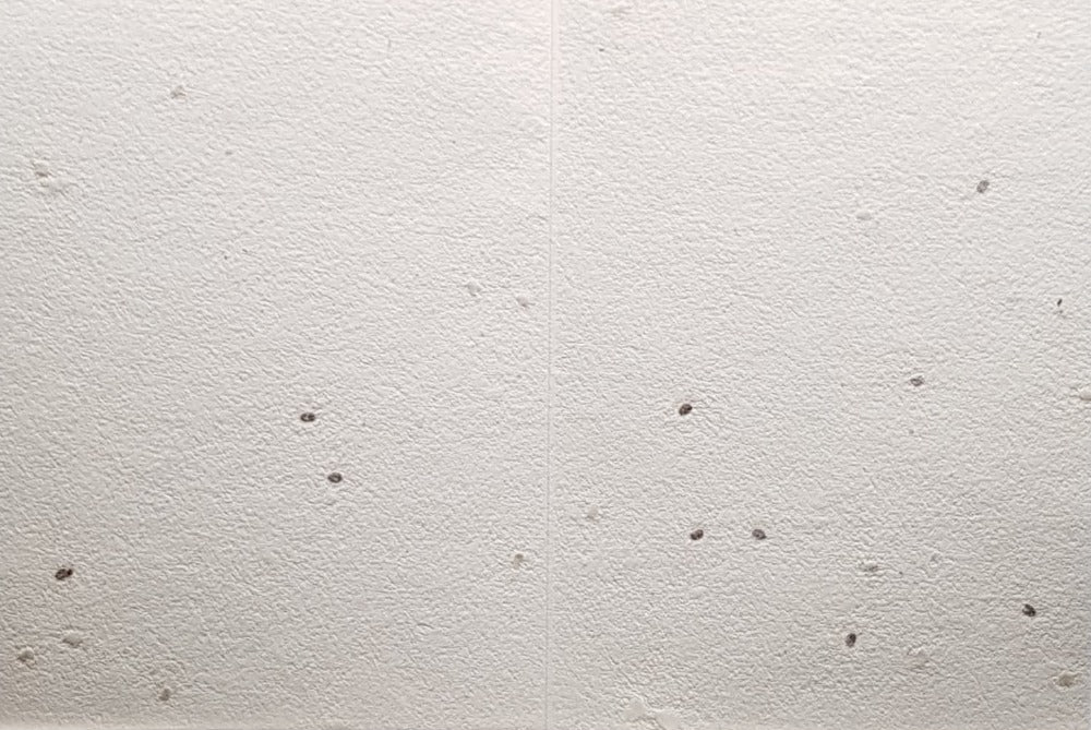 General Birthday Card Recyclable and Eco Friendly