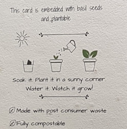 General Birthday Card Recyclable and Eco Friendly