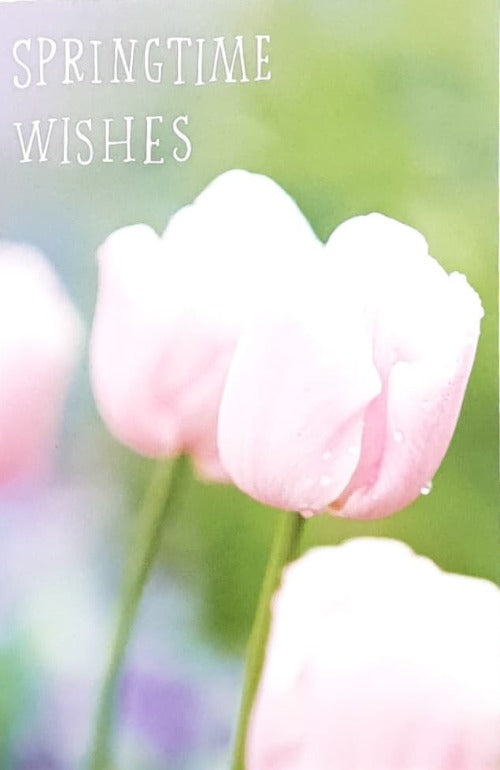 General - Pack of Easter Card