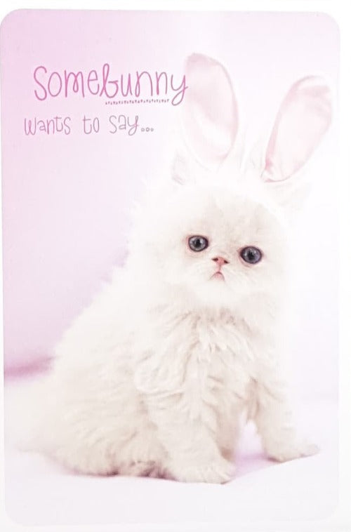 Humour - Pack of Easter Cards