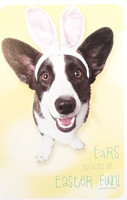 Humour - Pack of Easter Cards