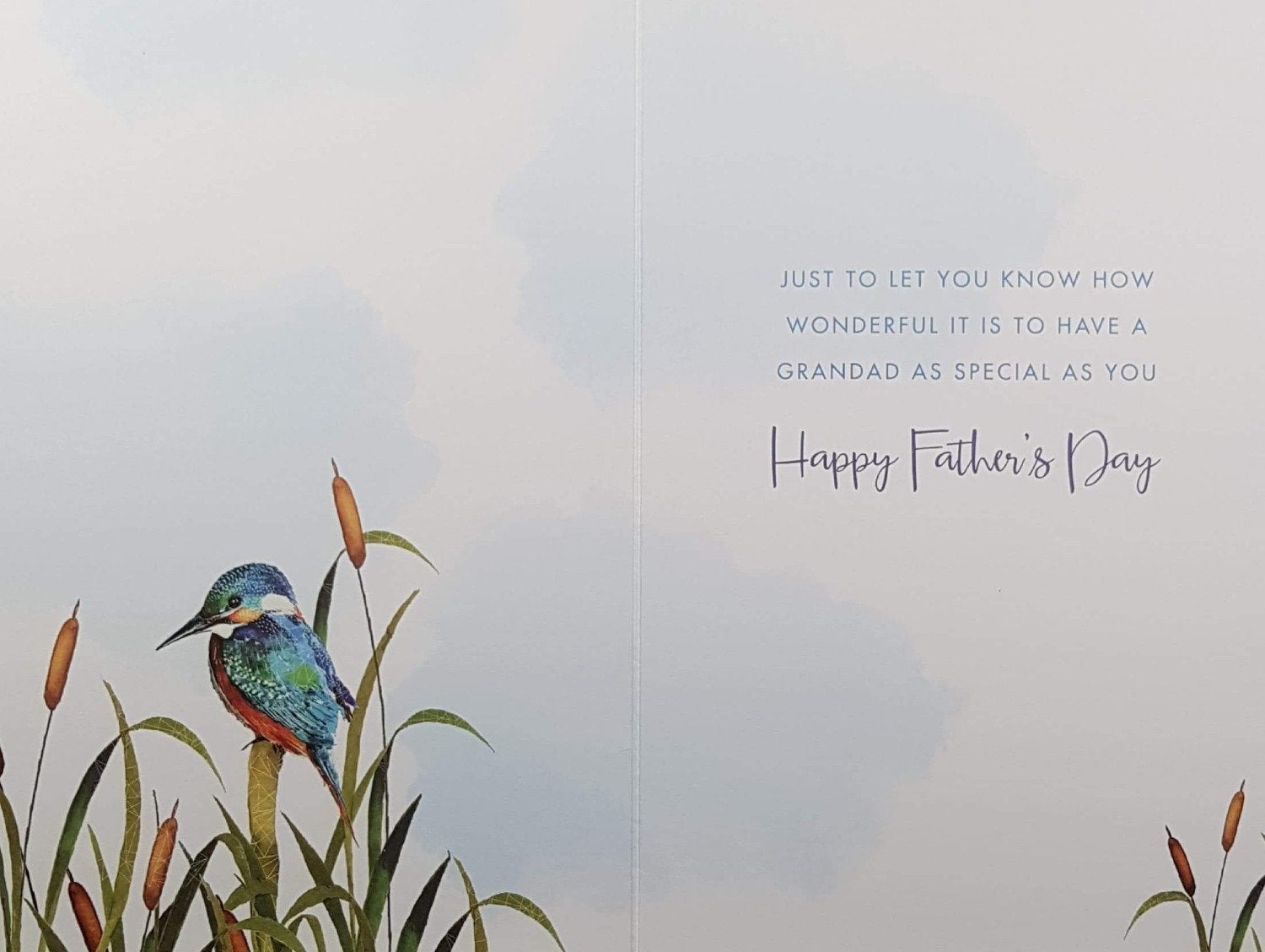Fathers Day Card - Grandad / Bird Sitting On Branch Surrounded By High Grass