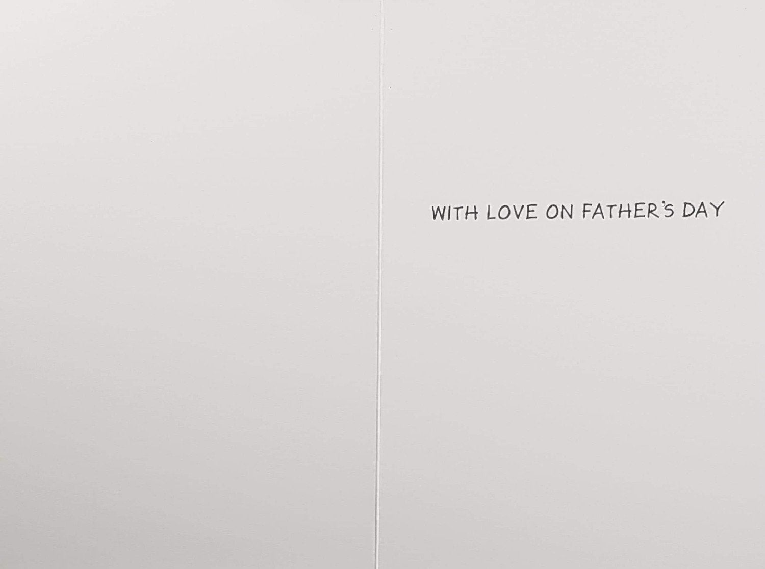 Fathers Day Card - Humour / Dad Would Do Anything...