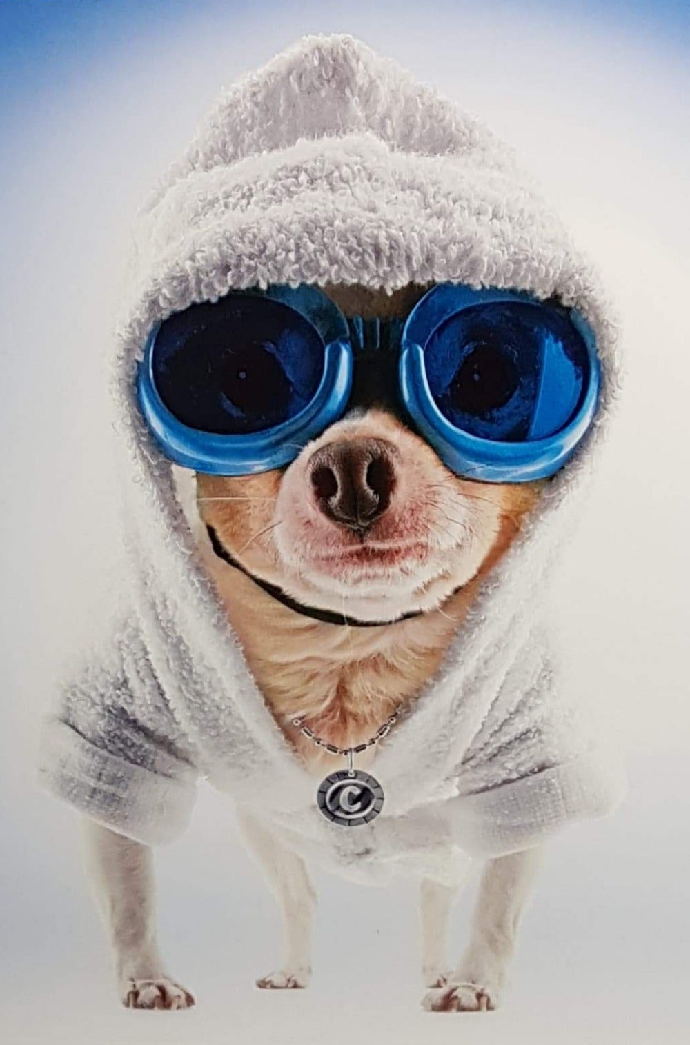 Birthday Card - Humour / Party In The Hood