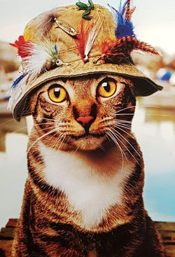 Birthday Card - Humour / Cat Ready For A Fishing