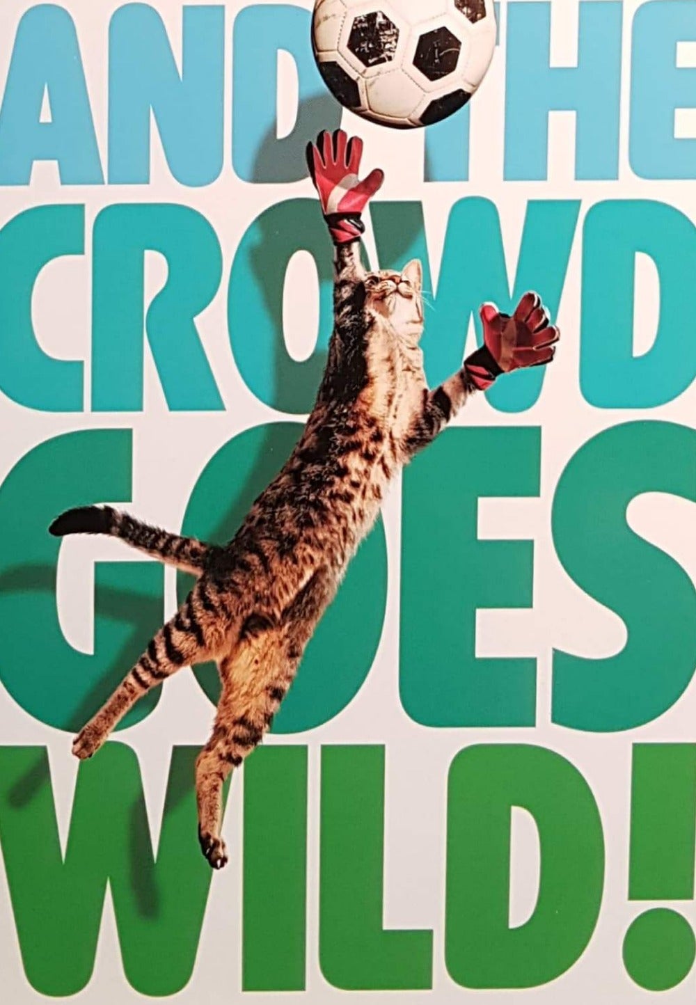 Birthday Card - Humour / Cat As A Football Player