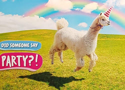 Birthday Card - Humour / Lama Ready For A Party & Rainbow