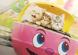 Birthday Card - Humour / The Ride's Getting Faster