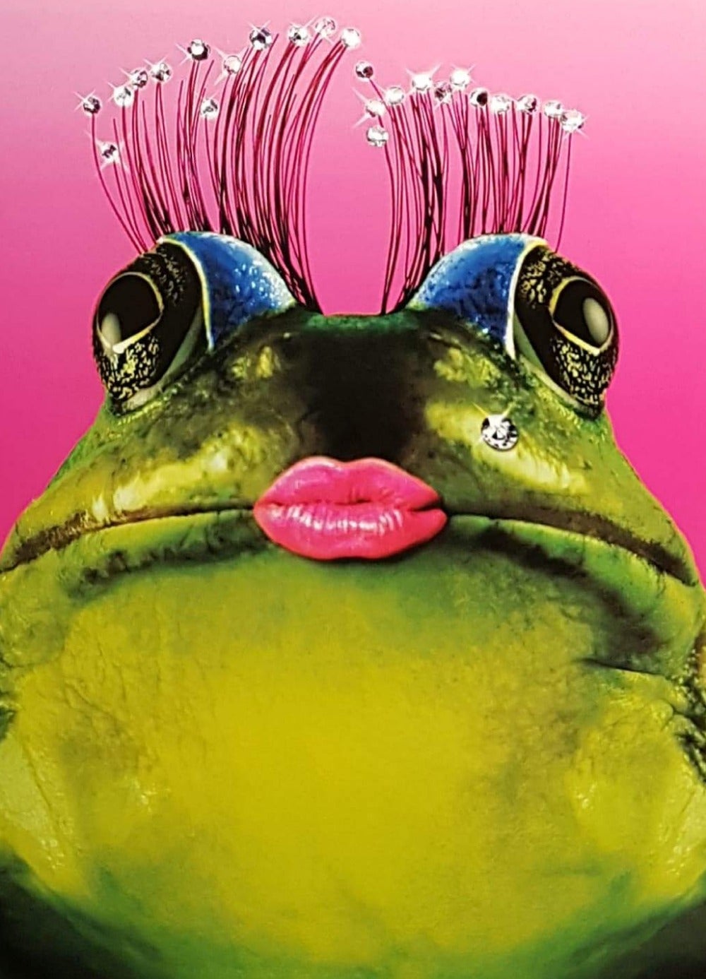 Birthday Card - Humour / Kiss From Frog