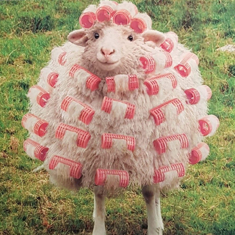 Birthday Card - Humour / Curl Power