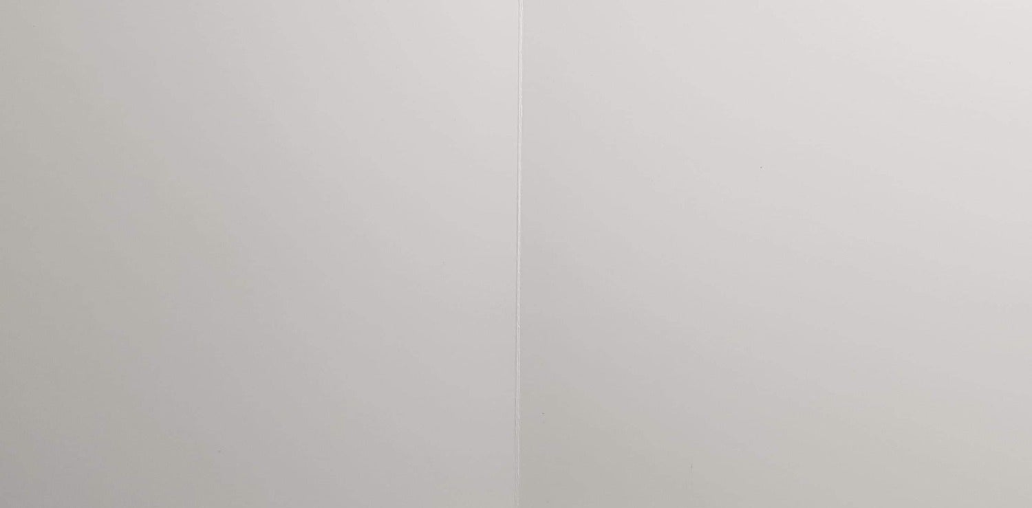 Blank Card - Animals / Frog The Quinn Of The Parties