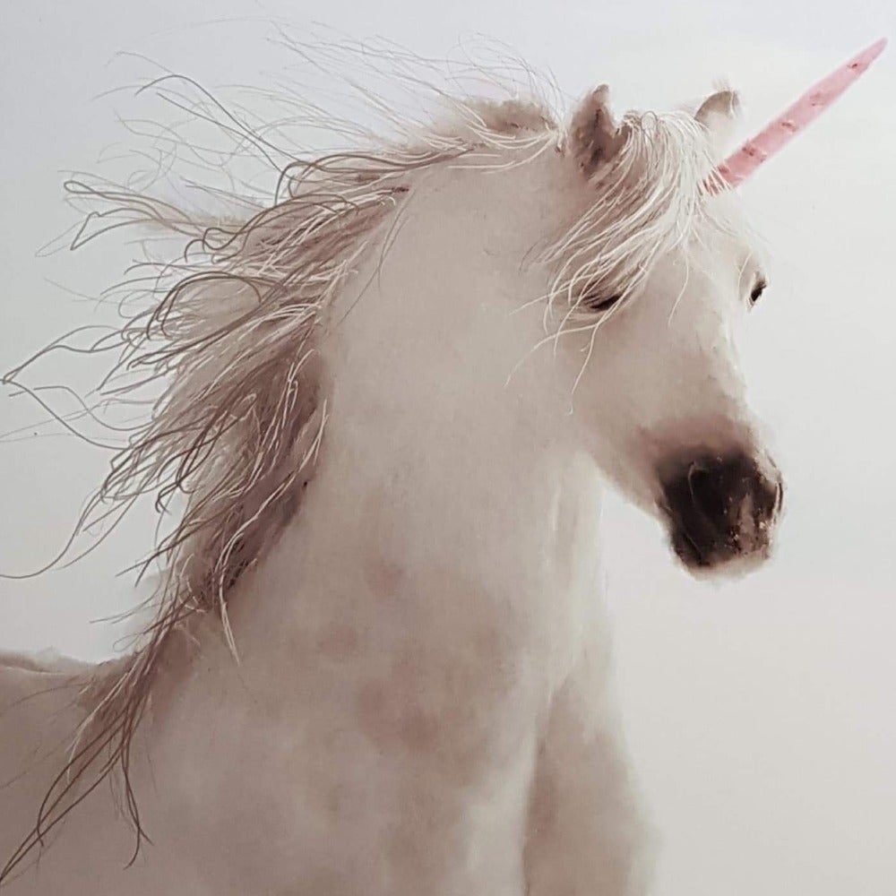 Blank Card - Animals / Magical Unicorn