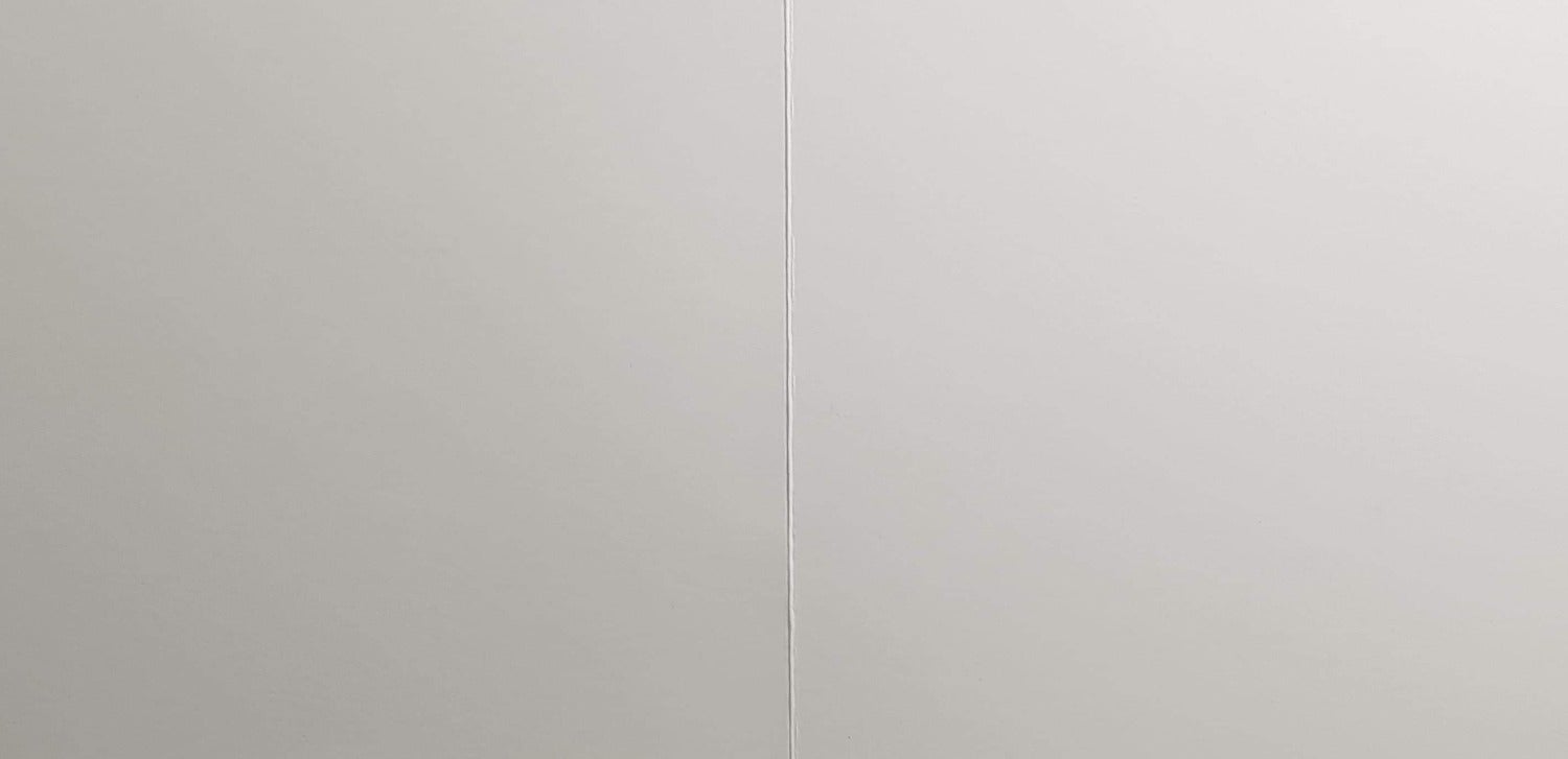 Blank Card - Animals / Popping Out