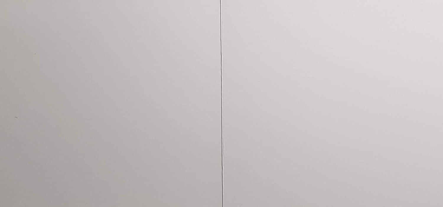 Blank Card - Animals / Cat Walking On The Blue Fence