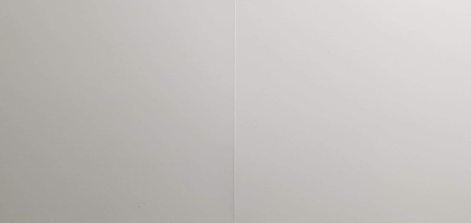 Blank Card - Nature / Butterfly White Wings With Black Spots Sitting On The White Flower