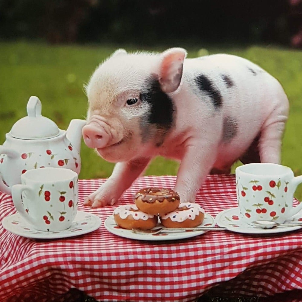 Blank Card - Animals / Piglet Tea