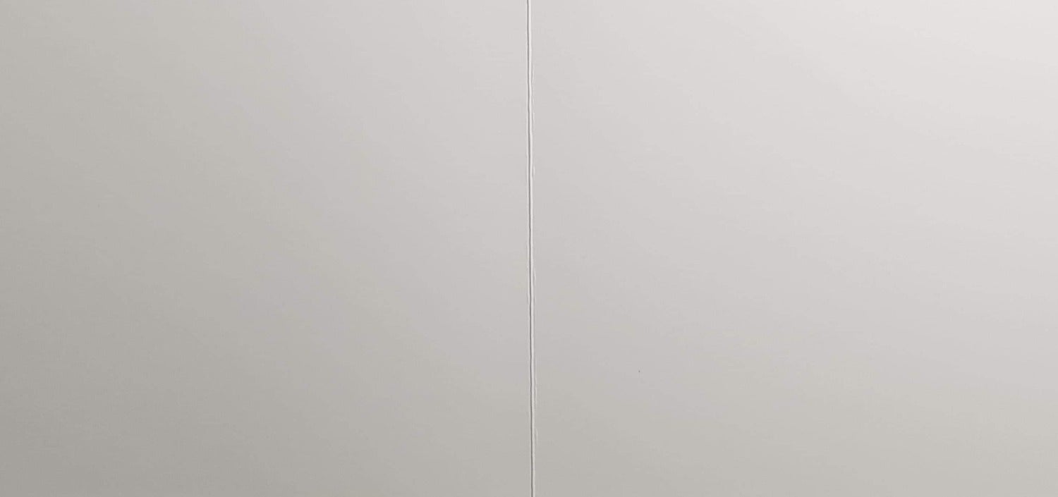 Blank Card - Animals / Domino The Alpaca