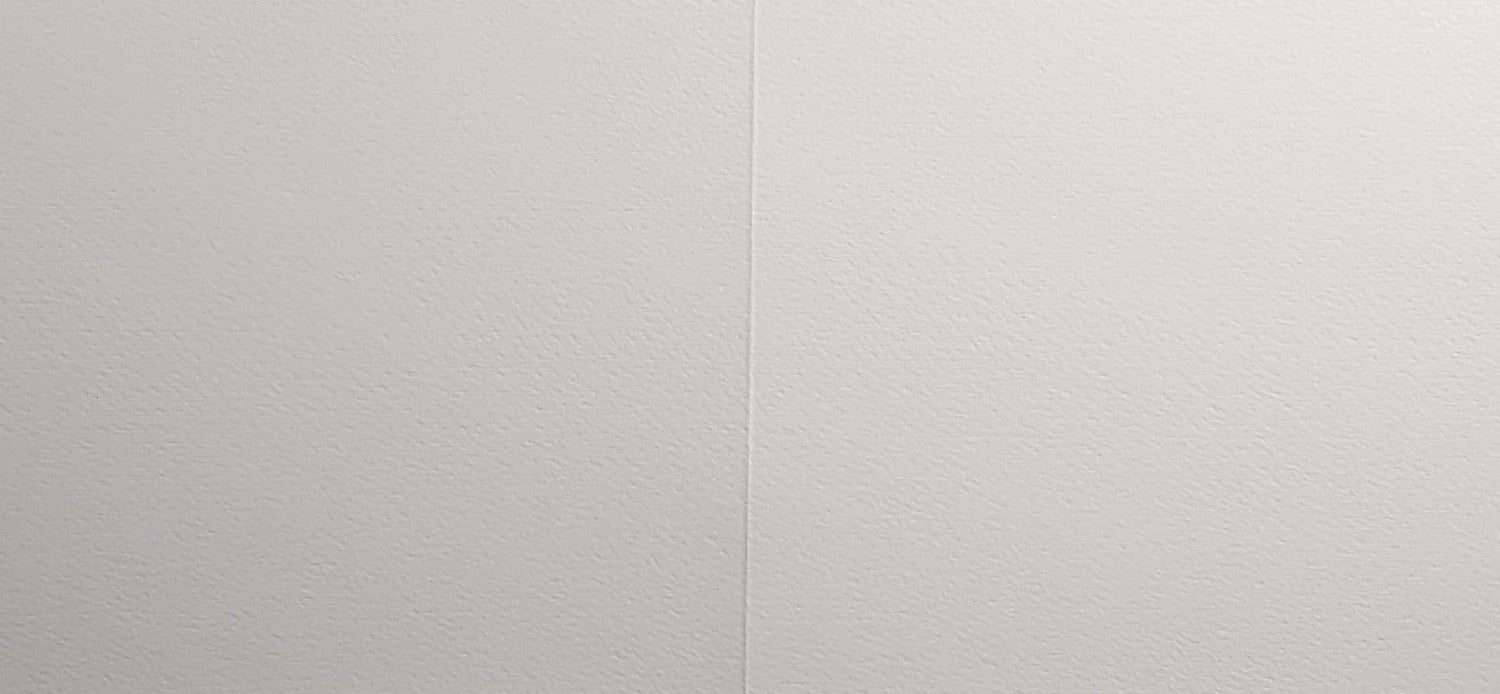 Blank Card - White Flower & Grasshopper