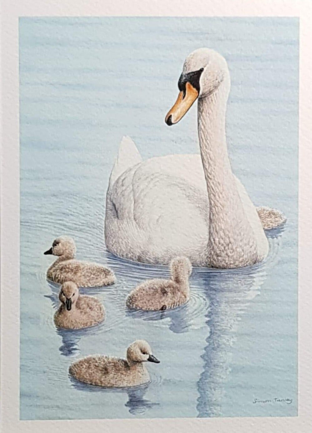 Birthday Card - Swan & Her Four Cygnets