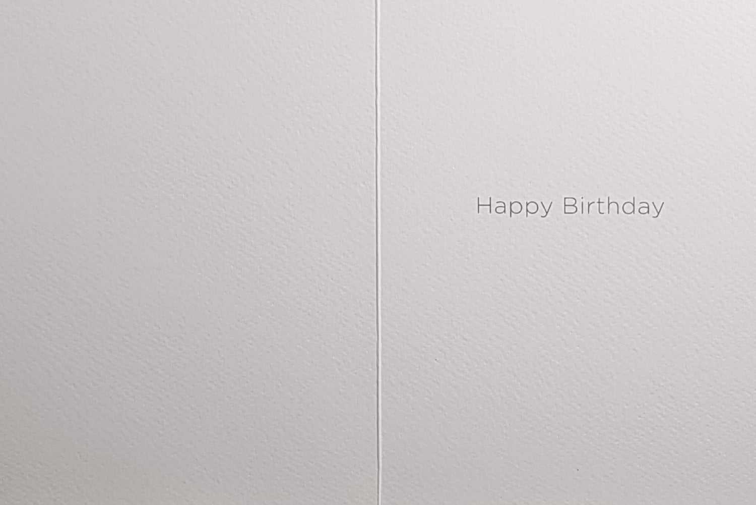 Birthday Card - Swan & Her Four Cygnets