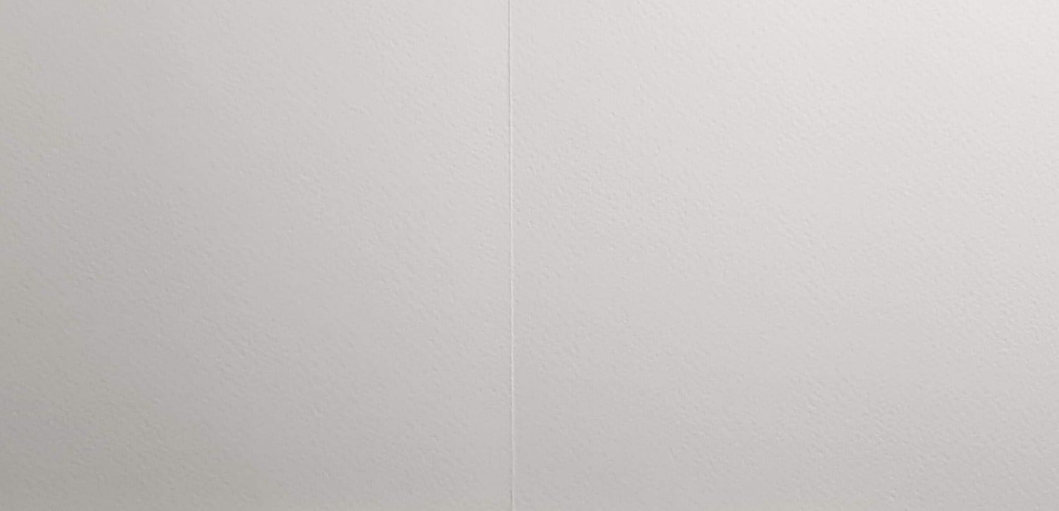 Blank Card - Lovely View of Plants, a Sailboat and the Sea