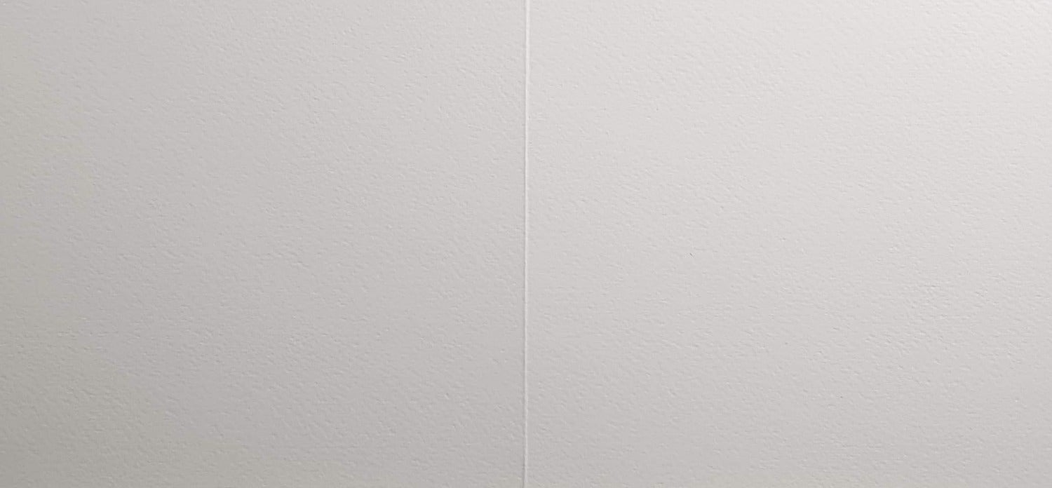 Blank Card - Green Tree, Flowers, Berries & Colourful Birds