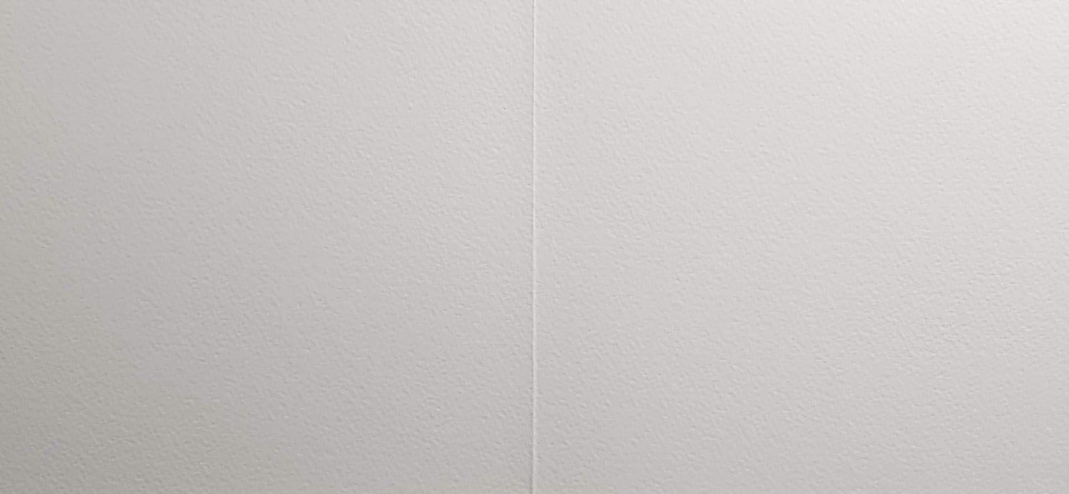 Blank Card - Two Birds Outside Hanging Bird Cage