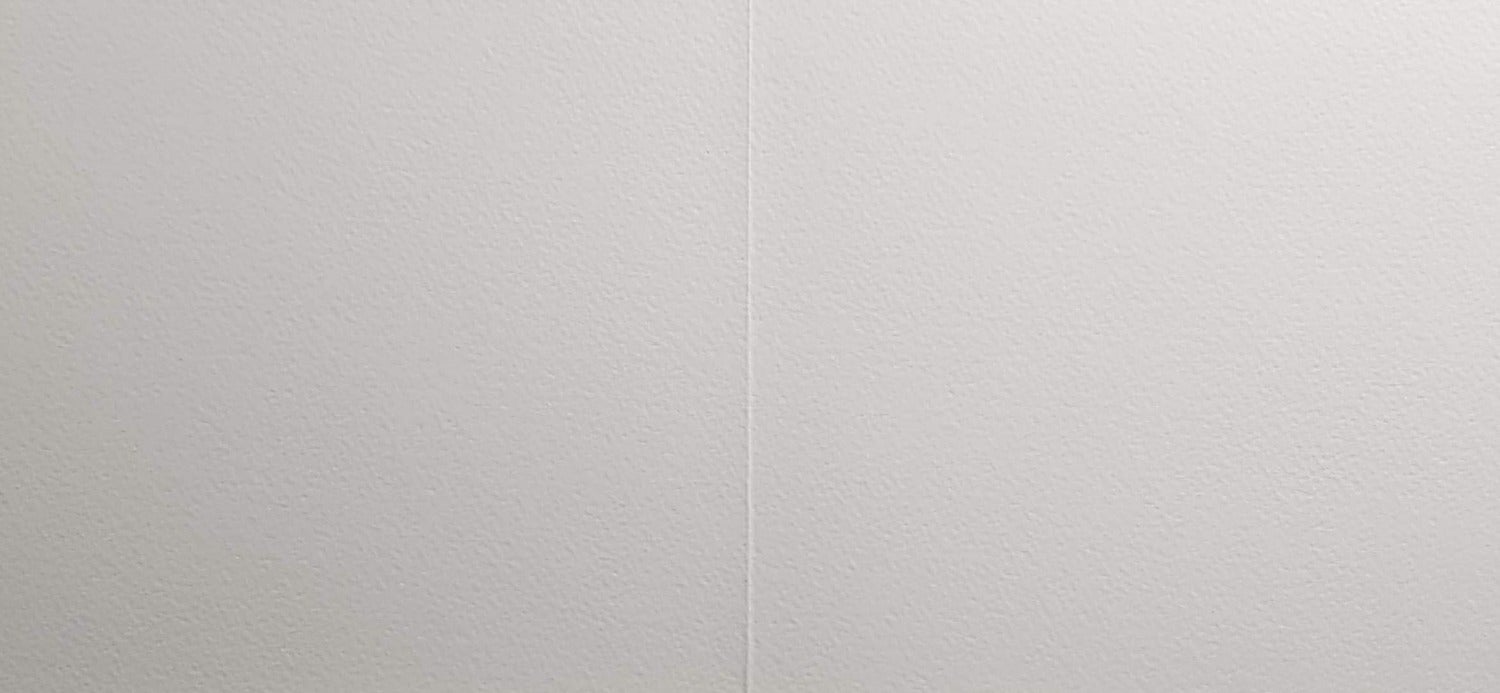 Blank Card - Two Birds Outside Hanging Bird Cage