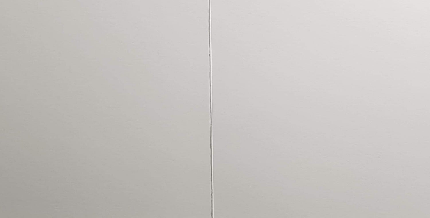 Blank Card - Animal / Penguins