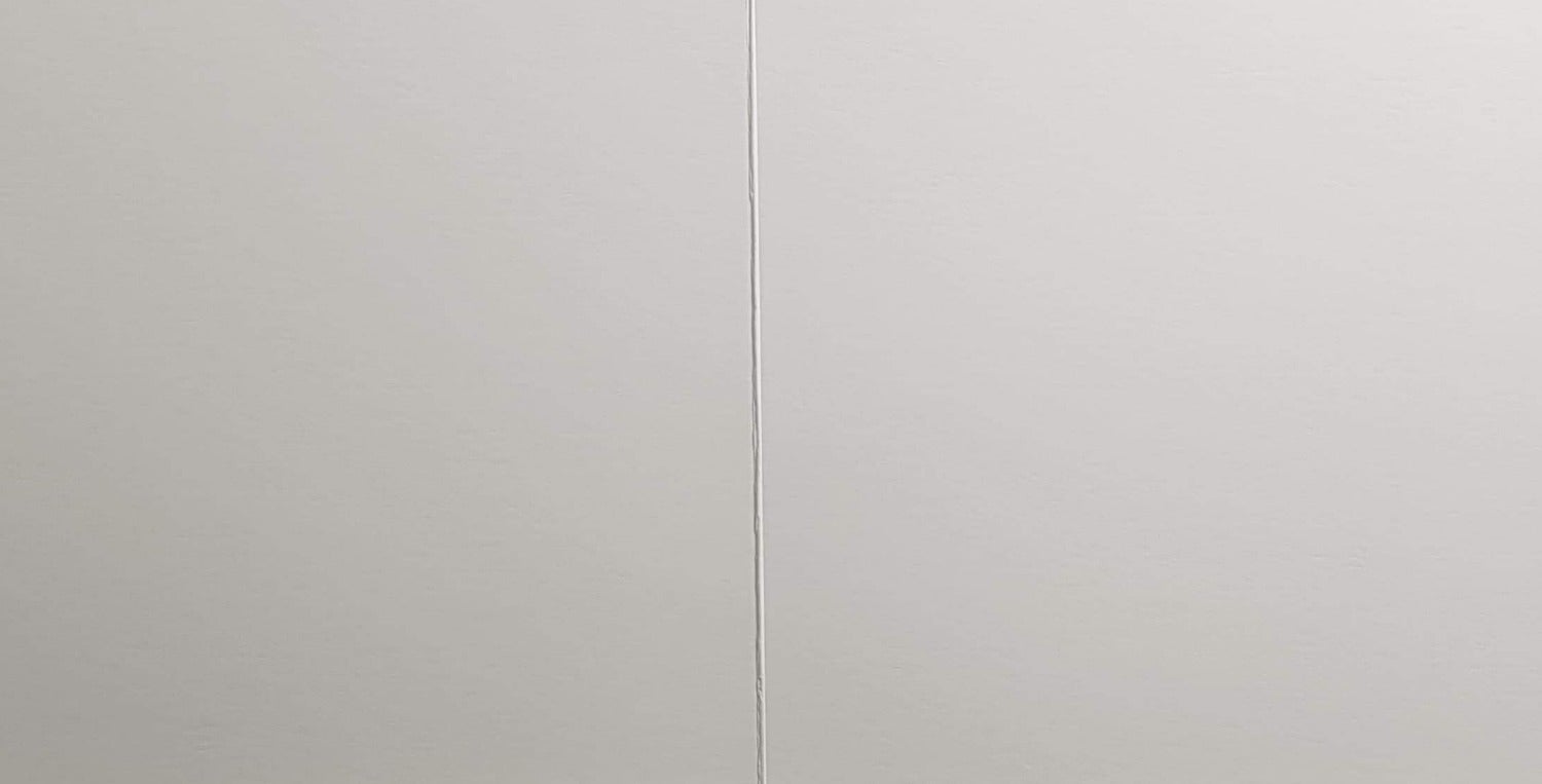 Blank Card - Animal / Toucan