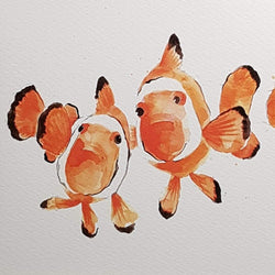 Blank Card - Animal / Clown Fish
