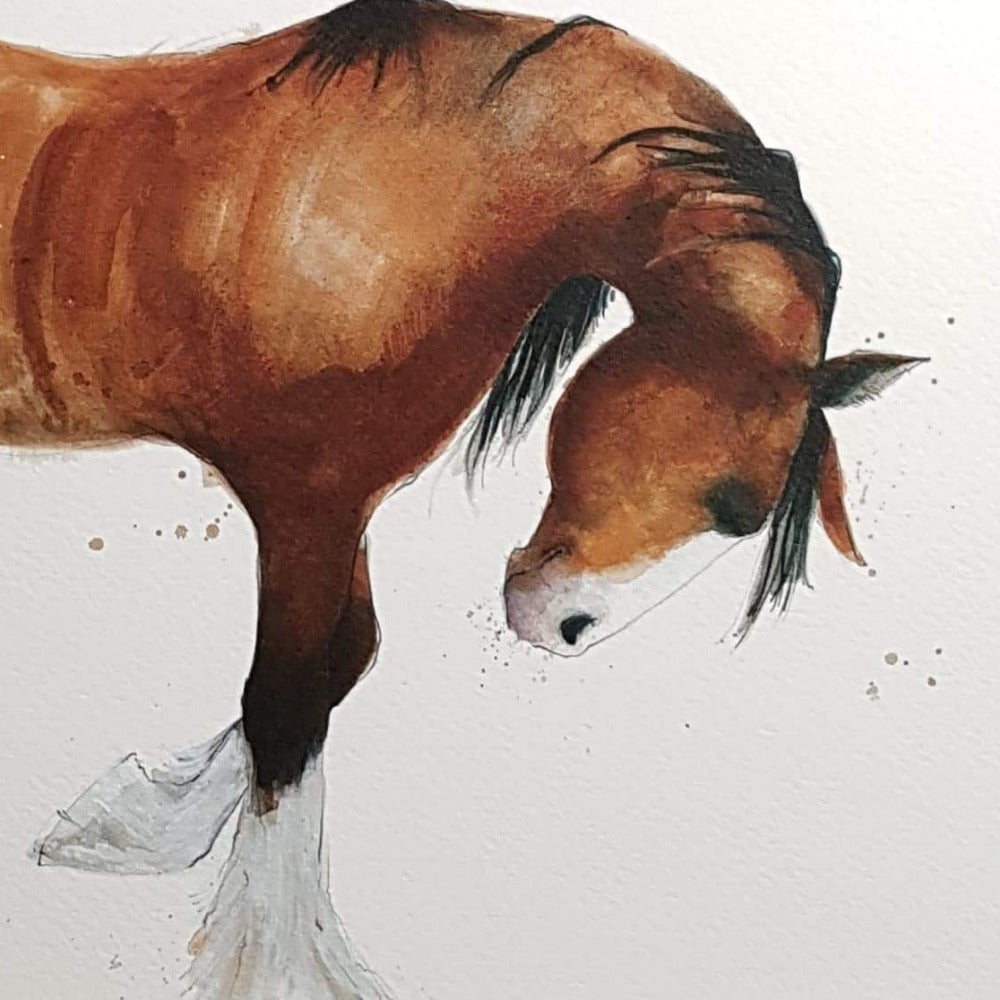 Blank Card - Animal / Shire Horse