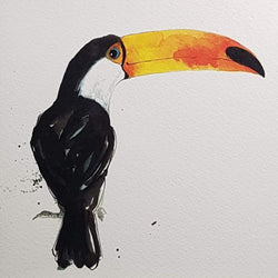 Blank Card - Animal / Toucan