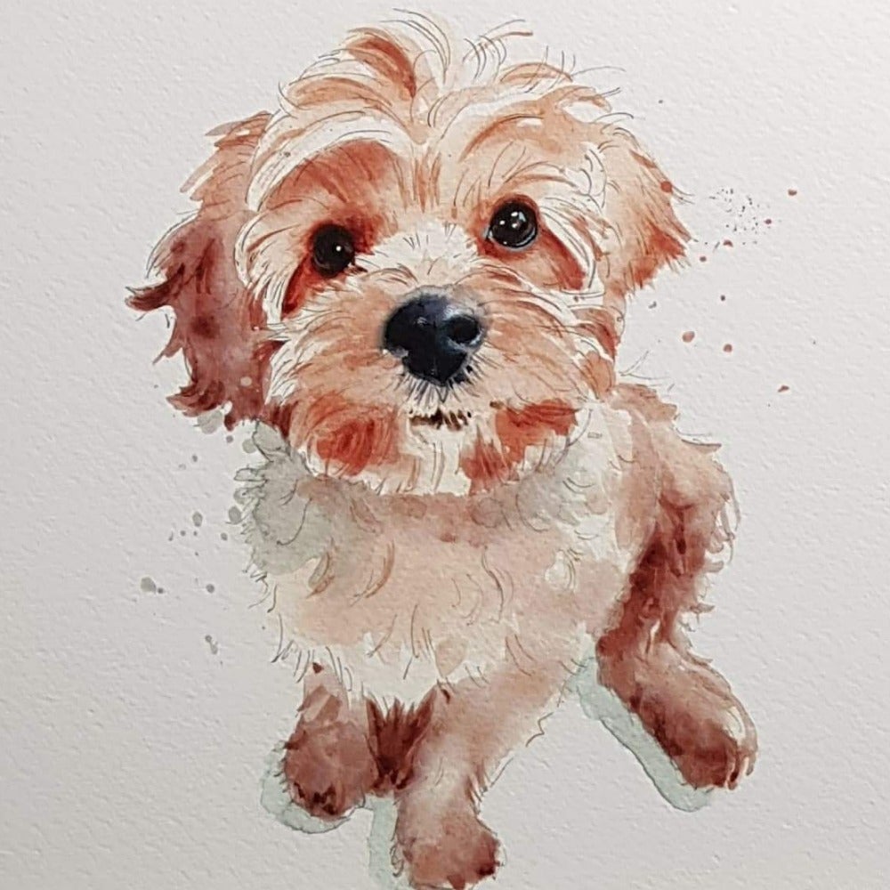 Birthday Card - Animal / Scruffy Puppy