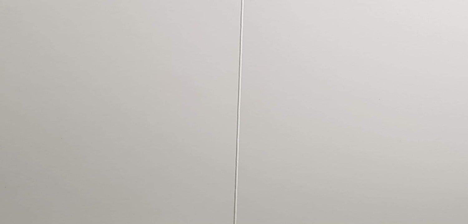 Blank Card - Animal / Black Cat