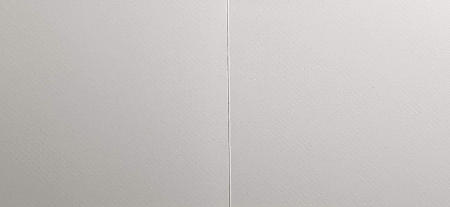 Blank Card - Animal / Ginger Cat