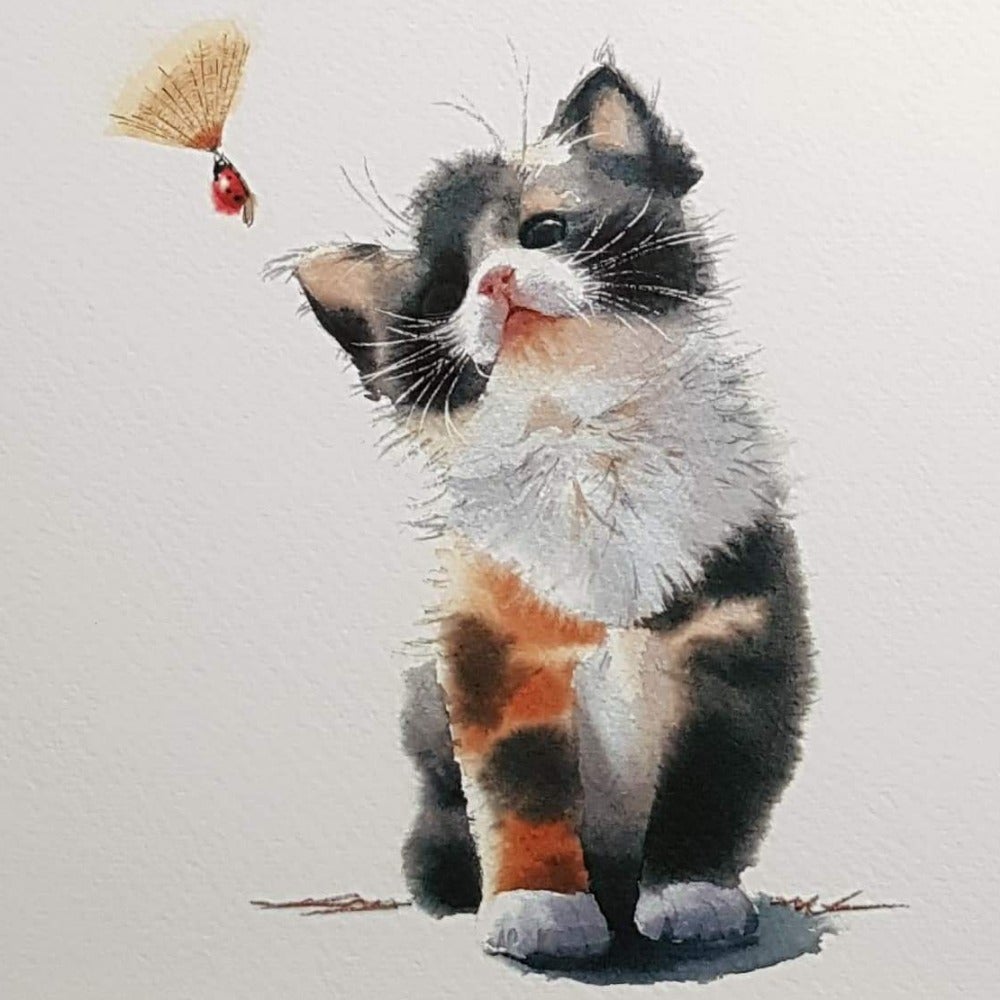 Birthday Card - Animal / Kitten & Ladybird