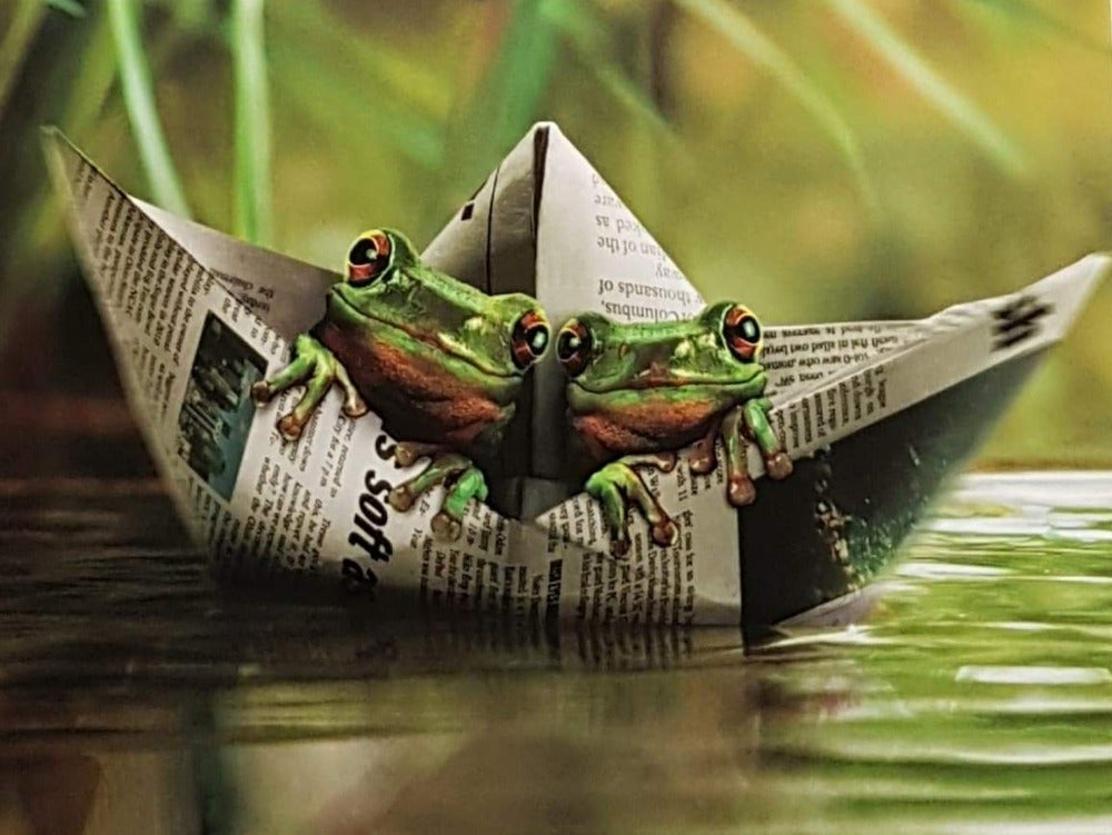 One I Love Card - Animal / Glad We're In It Together