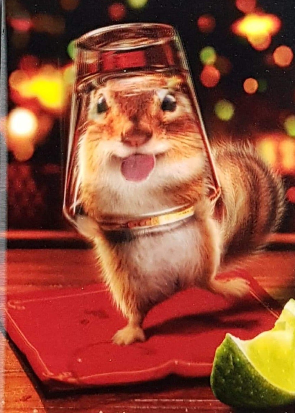 Birthday Card - 3D Card /  Funny Squirrel Inside Glass 'This One's On Me!'