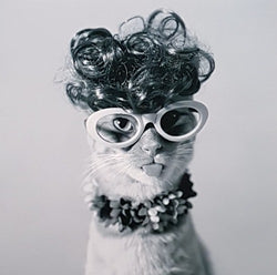 Funny Mothers Day Card