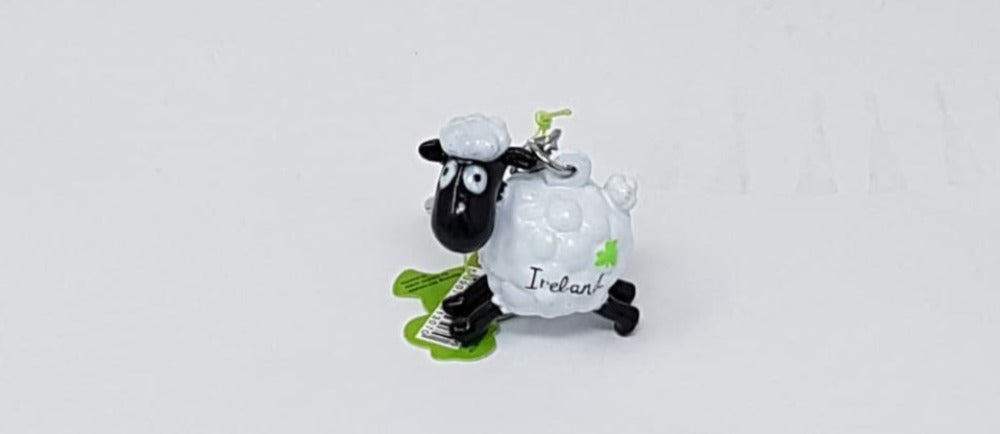 General St Patricks Day Gift - Keyring